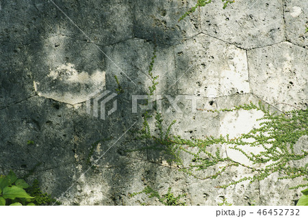 壁 石垣 沖縄 46452732