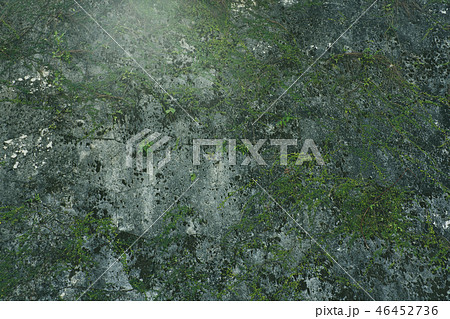 壁 石垣 沖縄 46452736