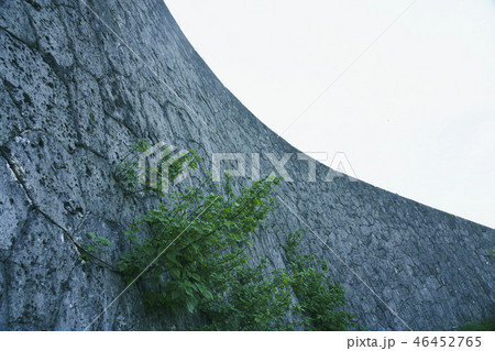 壁 石垣 沖縄 壁 石垣 沖縄 46452765