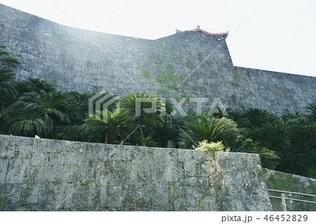 壁 石垣 沖縄 46452829