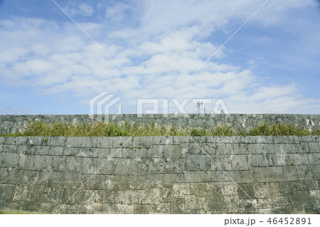 壁 石垣 沖縄 壁 石垣 沖縄 46452891