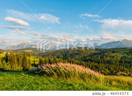 Summer mountain country view Summer mountain country view 46454373