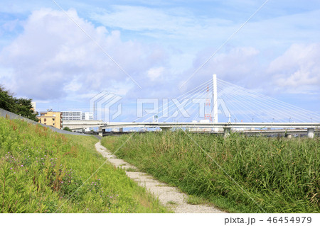 多摩川 多摩川 46454979