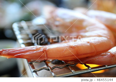 タカエビづくし　刺身付き　阿久根市　鹿児島県 46455144