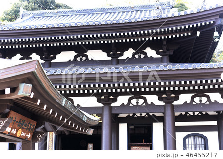 鎌倉 長谷寺 鎌倉 長谷寺 46455217