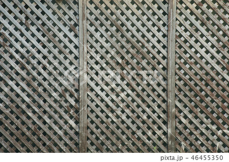 木 木目 テクスチャー 木 木目 テクスチャー 46455350