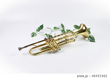 トランペット イメージ トランペット イメージ 46455362