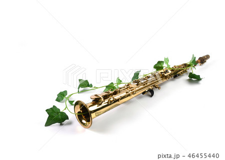ソプラノサックス　イメージ 46455440