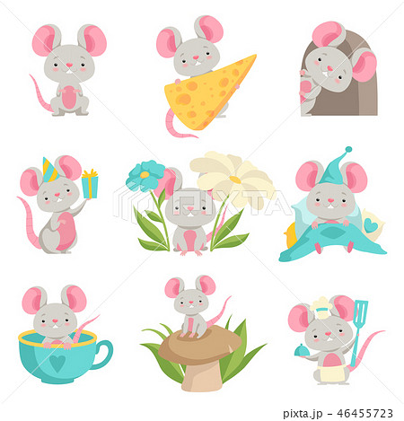 Cute mouse in different situations set, funny animal cartoon character vector Illustration on a Cute mouse in different situations set, funny animal cartoon character vector Illustration on a 46455723