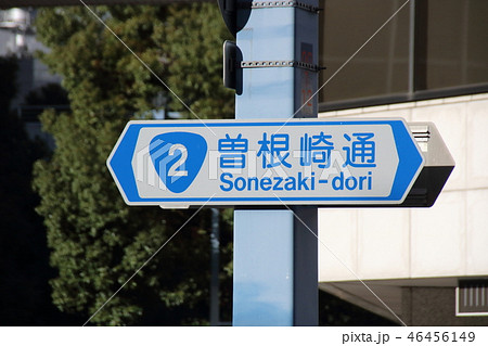 道路標識(案内標識)・曽根崎通(大阪府大阪市) 道路標識(案内標識)・曽根崎通(大阪府大阪市) 46456149