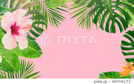 Tropical green leaves Tropical green leaves 46456271