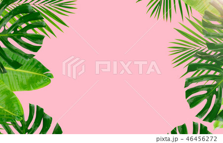 Tropical green leaves Tropical green leaves 46456272