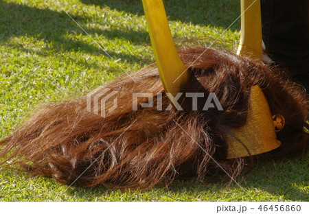 関ケ原合戦祭りの風景 関ケ原合戦祭りの風景 46456860