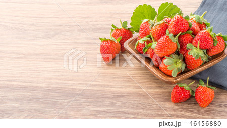 イチゴ いちご 苺 46456880