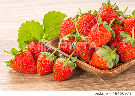 イチゴ いちご 苺 46456972