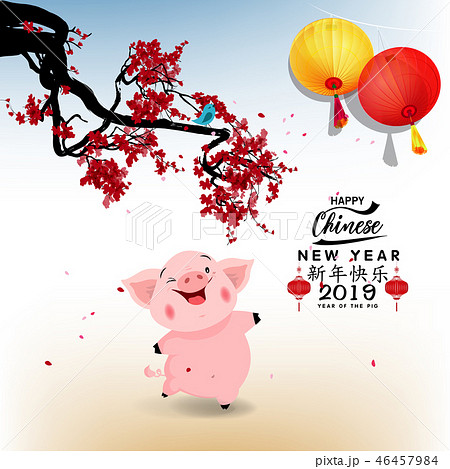 Happy Chinese New Year 2019, Year of the Pig.  46457984