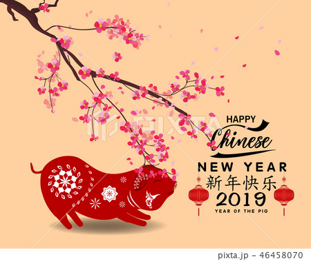 Happy Chinese New Year 2019, Year of the Pig.  46458070
