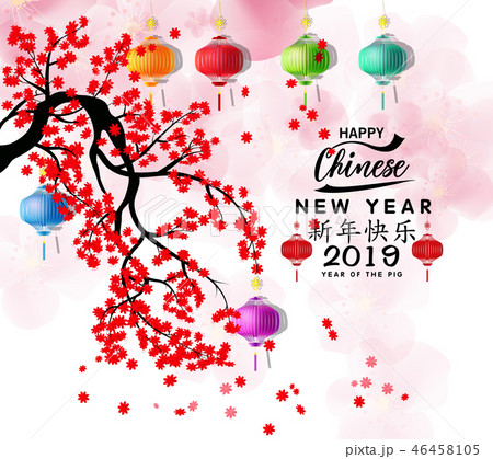 Happy Chinese New Year 2019, Year of the Pig.  46458105