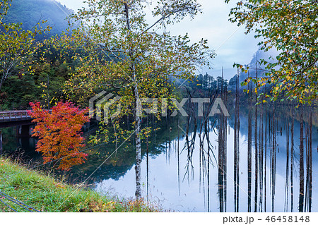 長野・紅葉の王滝の自然湖 長野・紅葉の王滝の自然湖 46458148
