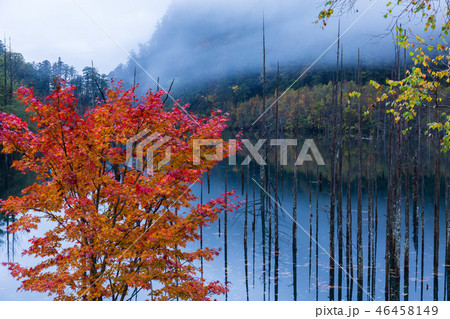 長野・紅葉の王滝の自然湖 長野・紅葉の王滝の自然湖 46458149