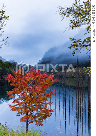 長野・紅葉の王滝の自然湖 46458150