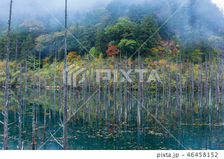 長野・紅葉の王滝の自然湖 46458152