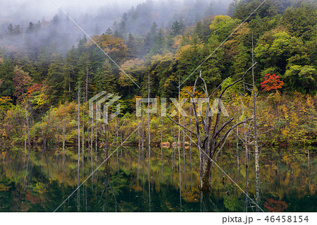 長野・紅葉の王滝の自然湖 46458154