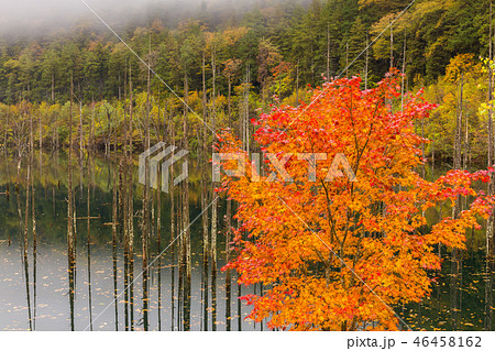 長野・紅葉の王滝の自然湖 46458162