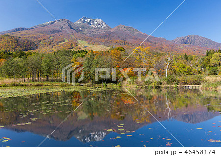 新潟 妙高高原 いもり池の紅葉の写真素材