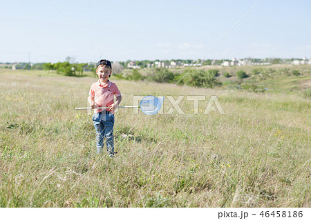little boy catches NET butterflies in the field for a walk little boy catches NET butterflies in the field for a walk 46458186