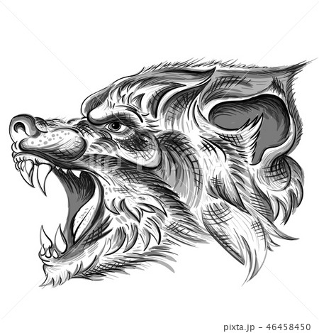 The Vector logo wolf for T-shirt design. 46458450