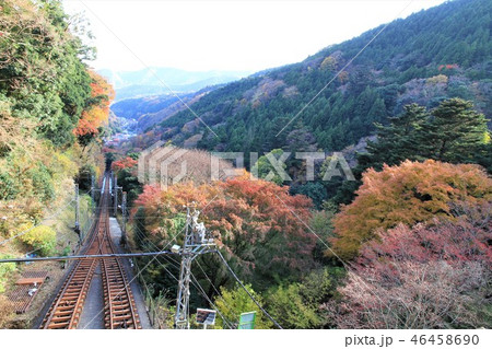 神奈川県　大山 46458690