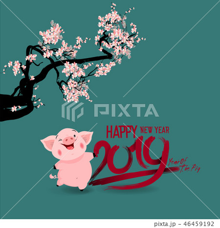 Happy New Year 2019 with fireworks background.  46459192