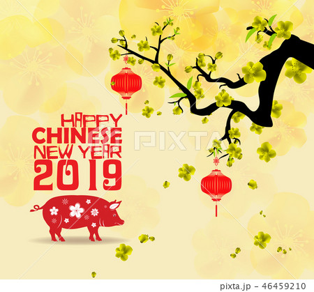 Happy New Year 2019 with fireworks background.  46459210