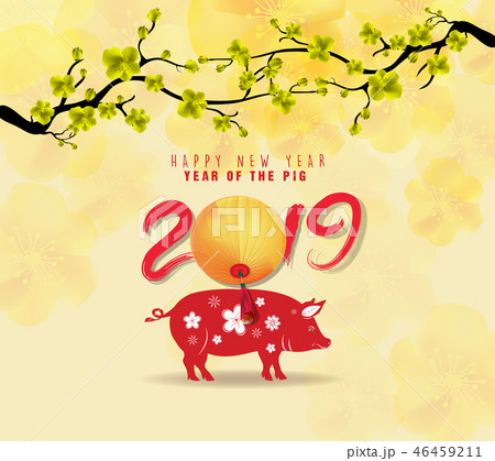 Happy New Year 2019 with fireworks background.  46459211