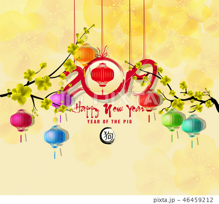 Happy New Year 2019 with fireworks background.  46459212