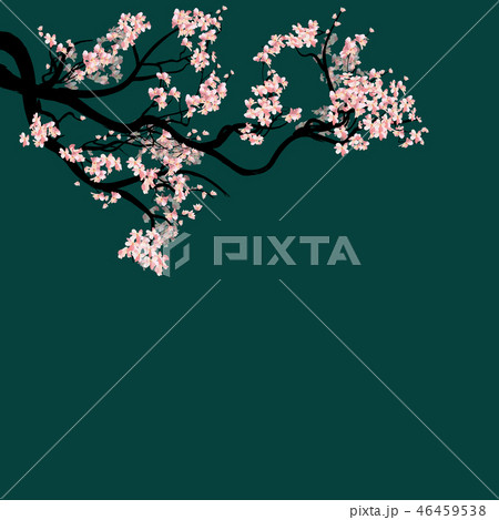 Happy New Year 2019. Chienese New Year Happy New Year 2019. Chienese New Year 46459538