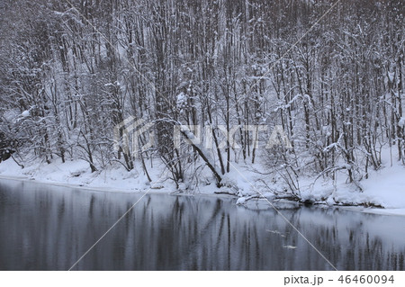冬の天塩川(東恵橋・智恵文付近にて) 冬の天塩川(東恵橋・智恵文付近にて) 46460094
