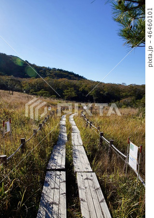 湿原の遊歩道 湿原の遊歩道 46460101