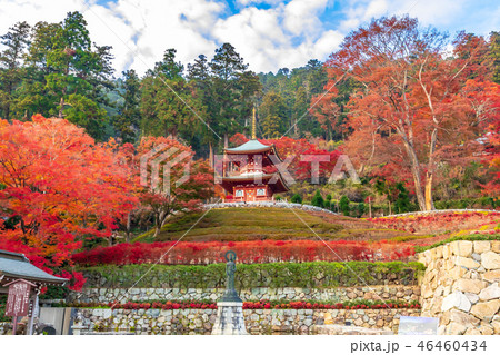 多宝塔 勝尾寺 46460434
