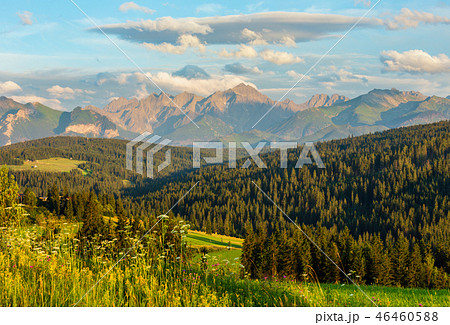 Summer mountain evening country view Summer mountain evening country view 46460588