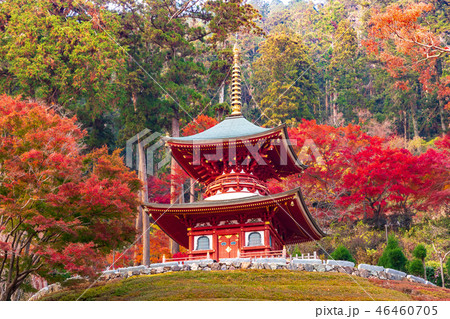 多宝塔 勝尾寺 多宝塔 勝尾寺 46460705