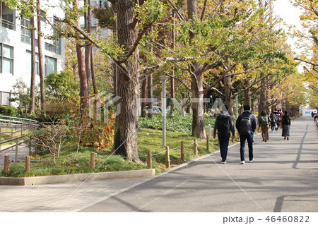 慶応大学日吉キャンパス 46460822