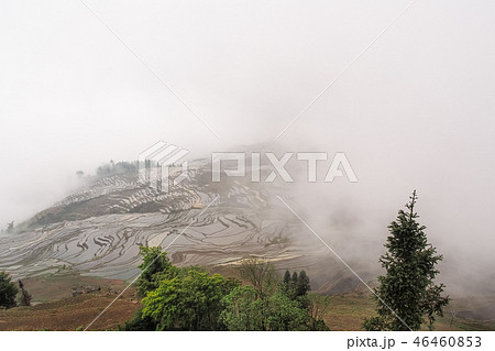 中国雲南省元陽・ 多依樹の棚田 / Duoyishu Rice Terraces, Yuanyang 46460853