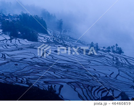 中国雲南省元陽・ 多依樹の棚田 / Duoyishu Rice Terraces, Yuanyang 中国雲南省元陽・ 多依樹の棚田 / Duoyishu Rice Terraces, Yuanyang 46460859