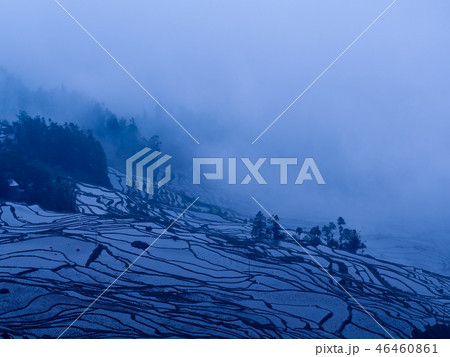 中国雲南省元陽・ 多依樹の棚田 / Duoyishu Rice Terraces, Yuanyang 46460861