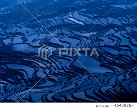 中国雲南省元陽・ 多依樹の棚田 / Duoyishu Rice Terraces, Yuanyang 中国雲南省元陽・ 多依樹の棚田 / Duoyishu Rice Terraces, Yuanyang 46460867
