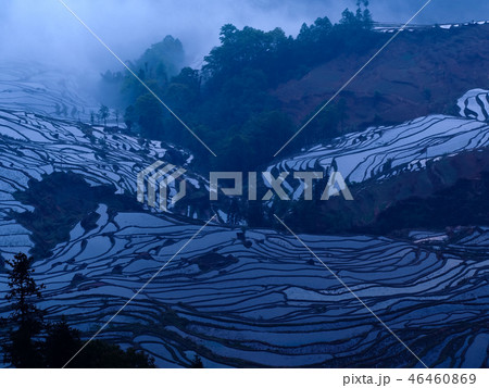 中国雲南省元陽・ 多依樹の棚田 / Duoyishu Rice Terraces, Yuanyang 46460869