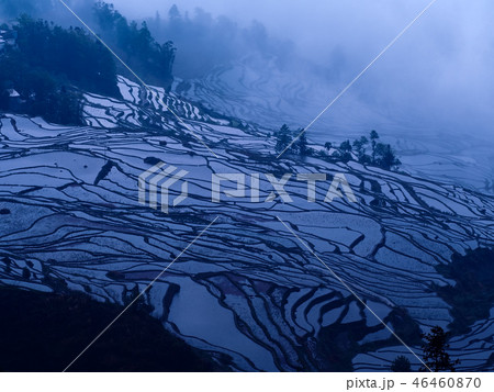 中国雲南省元陽・ 多依樹の棚田 / Duoyishu Rice Terraces, Yuanyang 46460870