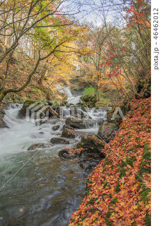 鐘山の滝　秋　紅葉　滝 46462012